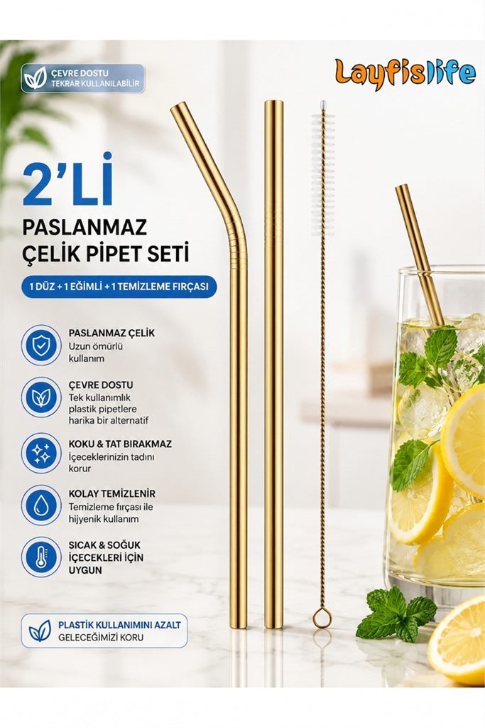 Paslanmaz Çelik 2’Li Pipet Seti 21 Cm 1 Düz 1 Eğimli Pipet + Temizleme Fırçası'ın resmi
